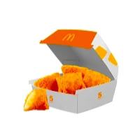 Carrés Gouda Cheese 5 Pcs