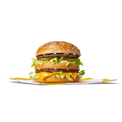 Big Mac Sandwich